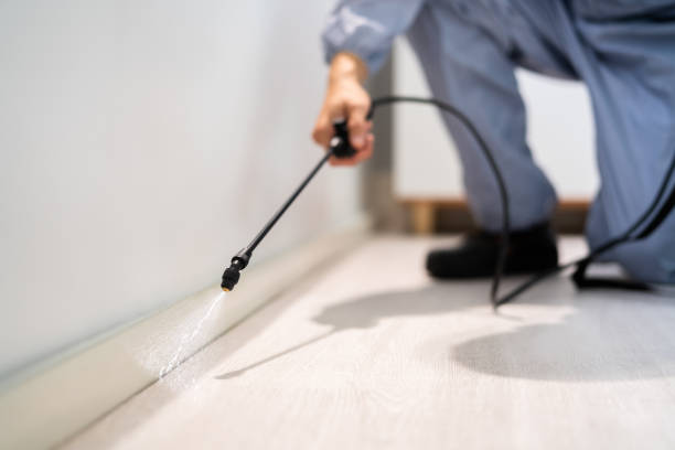 Licensed Pest Control service in Wellington, OH - Show Me Pest Control