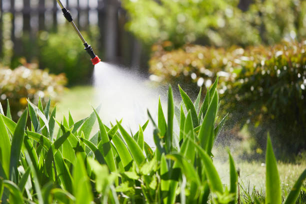 24/7 Emergency Mosquito Control experts in Wellington, OH